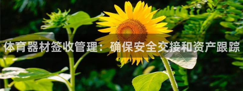 星欧娱乐平台：体育器材签收管理：确保安全交接和资产跟