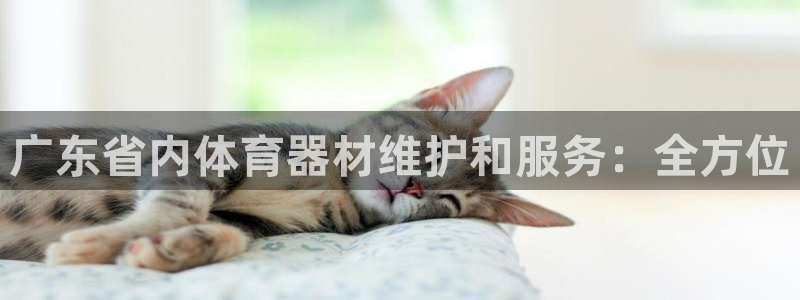 星欧娱乐官网首页下载：广东省内体育器材维护和服务：全