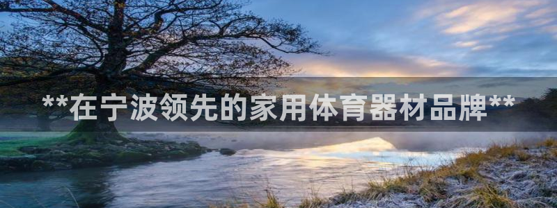 星欧娱乐挂机赚钱软件：**在宁波领先的家用体育器材品