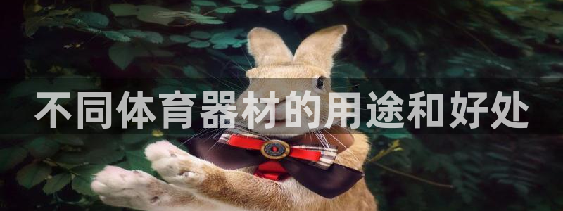 星欧娱乐公司创始人背景故事简介：不同体育器材的用途和