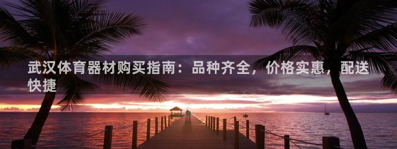 星欧娱乐扣款流程详解图片大全：武汉体育器材购买指南：