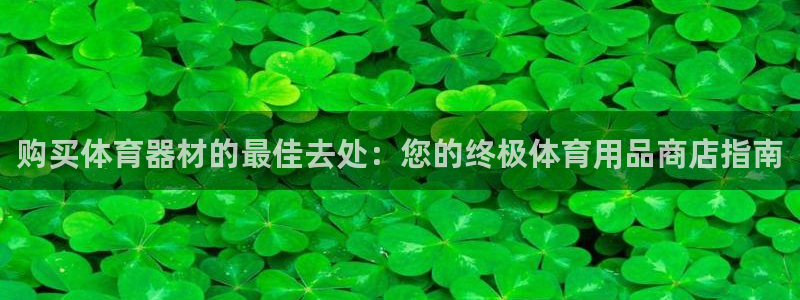 星娱乐是谁的公司：购买体育器材的最佳去处：您的终极体