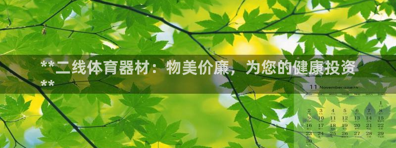 星欧娱乐彩票软件下载官网：**二线体育器材：物美价廉