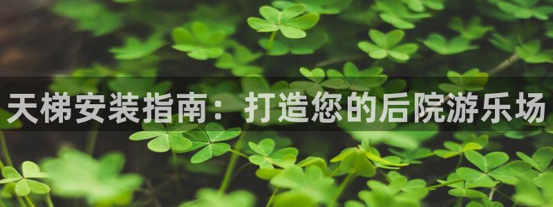 星欧娱乐和嫲薇他的区别是什么：天梯安装指南：打造您的