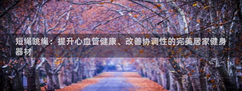星欧娱乐app最新版本更新内容是什么：短绳跳绳：提升
