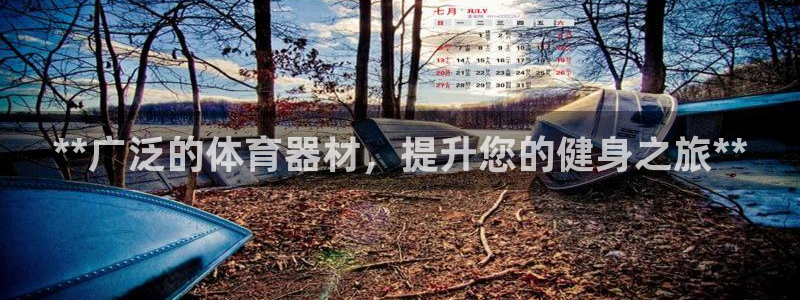 星欧娱乐：**广泛的体育器材，提升您的健身之旅**