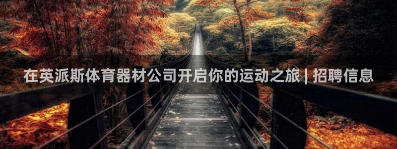 星欧娱乐的官方版本更新内容：在英派斯体育器材公司开启