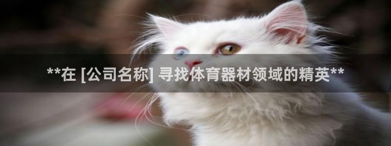 星欧娱乐平台：**在 [公司名称] 寻找体育器材领域