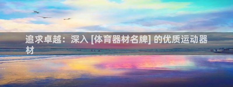 星欧娱乐的创始人背景故事介绍：追求卓越：深入 [体育