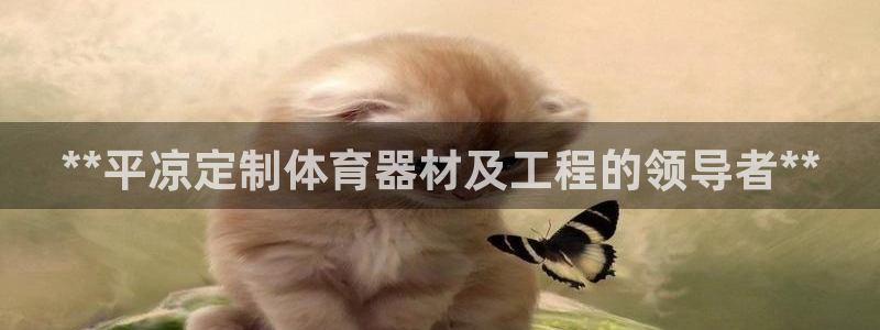 星欧娱乐公司创始人背景故事是什么：**平凉定制体育器
