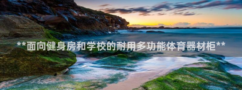 传奇星娱乐：**面向健身房和学校的耐用多功能体育器材