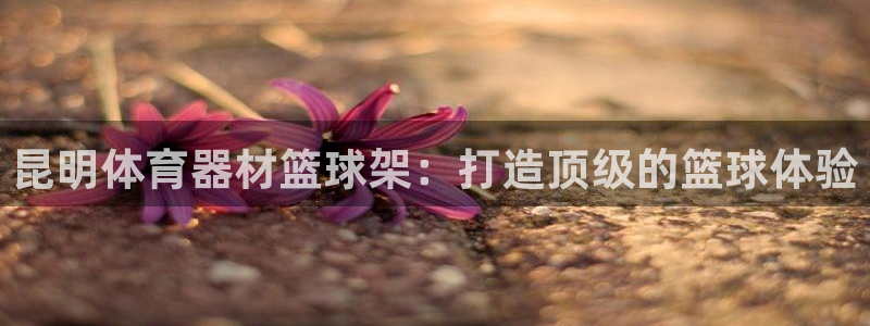 星欧娱乐官网下载安卓：昆明体育器材篮球架：打造顶级的
