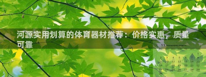 星欧娱乐的官方版本更新内容是什么：河源实用划算的体育