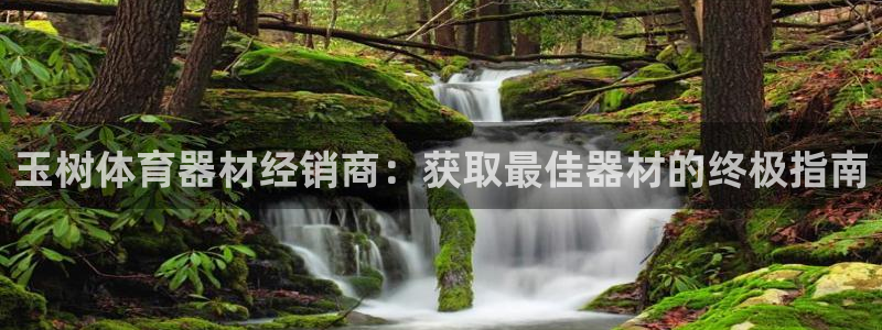 星欧娱乐属于什么档次：玉树体育器材经销商：获取最佳器