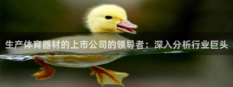 星欧娱乐公司创始人背景故事介绍：生产体育器材的上市公