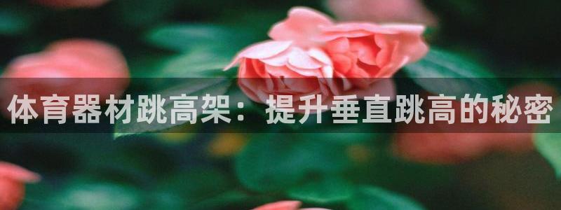 星欧娱乐平台：体育器材跳高架：提升垂直跳高的秘密