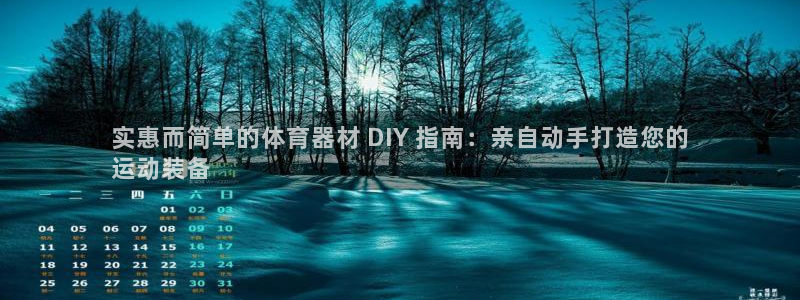 星欧娱乐公司：实惠而简单的体育器材 DIY 指南：亲