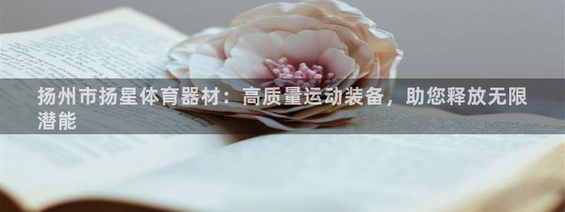 星欧娱乐扣款时间查询方法是什么意思：扬州市扬星体育器