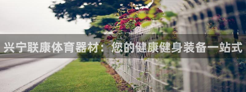 星欧娱乐扣款流程详解图