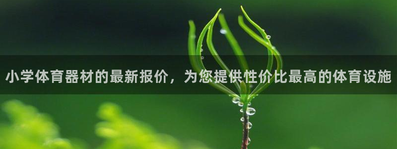 星欧娱乐的创始人背景故事介绍：小学体育器材的最新报价