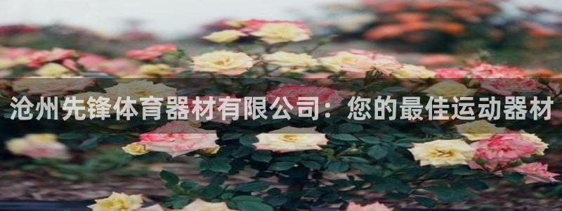 星欧娱乐扣款时间查询方法是什么样的：沧州先锋体育器材