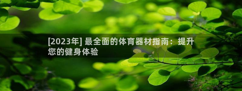星欧娱乐属于什么档次的公司啊