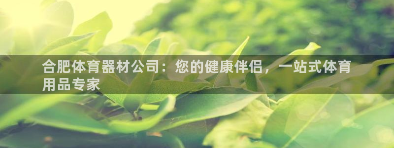 星欧娱乐总代.直开.中国：合肥体育器材公司：您的健康