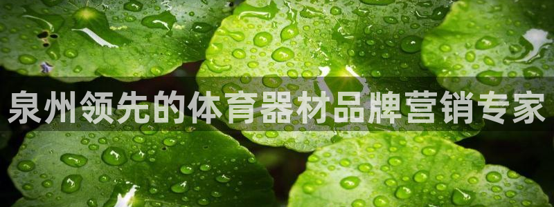 星欧娱乐的官方版本更新内容是什么：泉州领先的体育器材