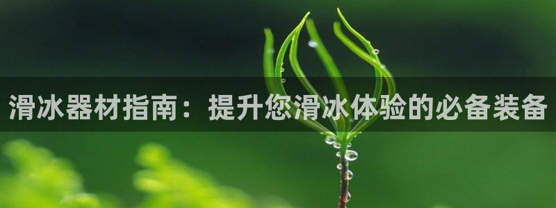 星欧娱乐巴711.112扣费记录查询方法：滑冰器材指