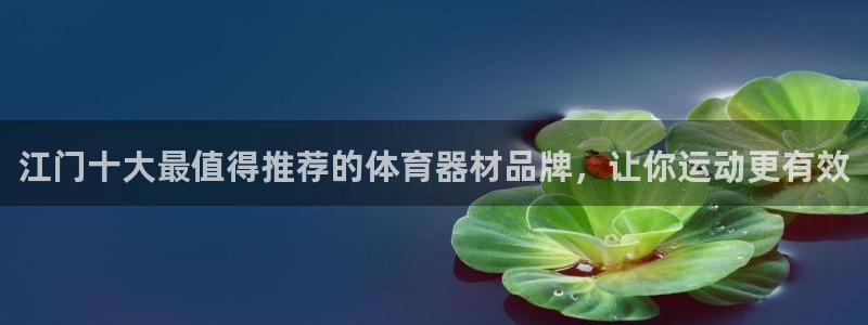 星欧娱乐属于什么档次的软件啊：江门十大最值得推荐的体