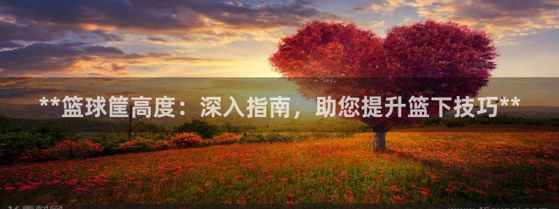 星欧娱乐平台测速线路设置：**篮球筐高度：深入指南，