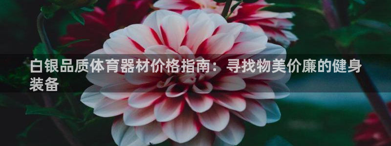 欧亿测速娱乐：白银品质体育器材价格指南：寻找物美价廉
