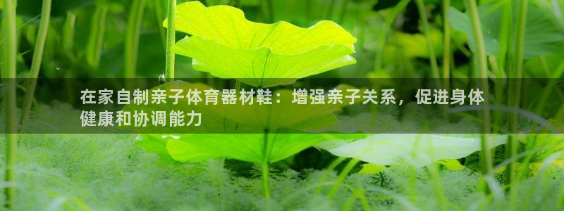 星欧娱乐公司怎么样：在家自制亲子体育器材鞋：增强亲子