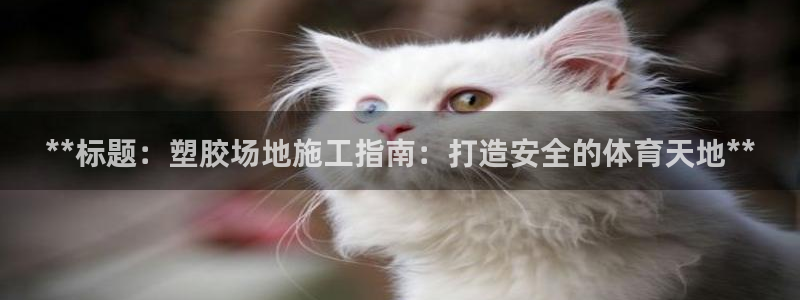 星欧娱乐平台怎么样知乎赚钱吗：**标题：塑胶场地施工