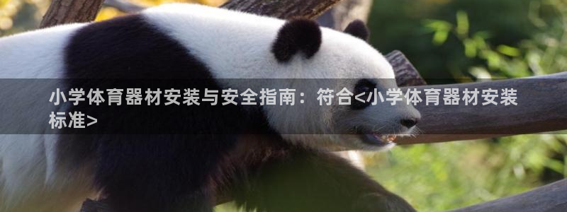 星欧娱乐扣款：小学体育器材安装与安全指南：符合<小学