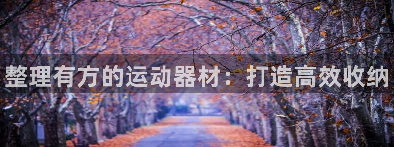 星欧娱乐彩票软件下载：整理有方的运动器材：打造高效收