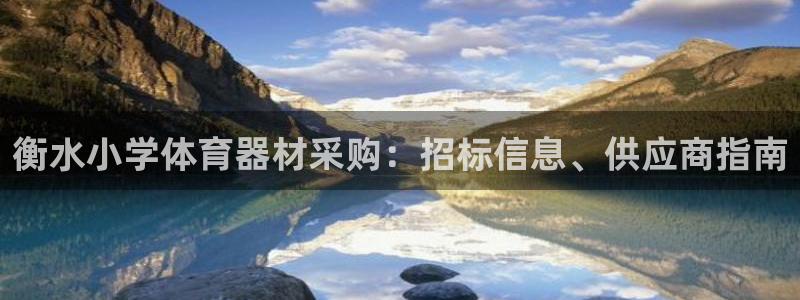 星欧娱乐公司电话号码：衡水小学体育器材采购：招标信息