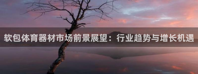 星欧娱乐公司创始人背景故事简介：软包体育器材市场前景