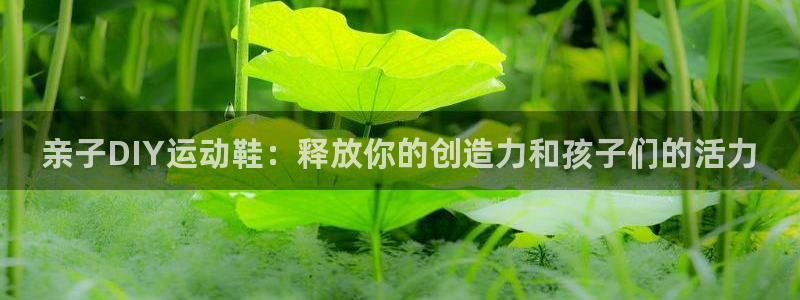星欧娱乐平台怎么样知乎推荐：亲子DIY运动鞋：释放你
