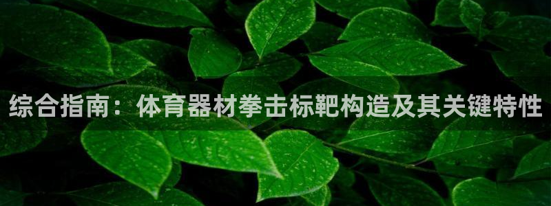 星欧娱乐最建议买的三个产品：综合指南：体育器材拳击标
