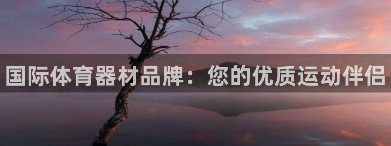 星欧娱乐扣款时间查询方法是什么：国际体育器材品牌：您