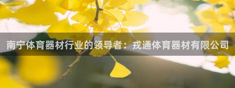 星欧娱乐是正规品牌吗：南宁体育器材行业的领导者：戎通
