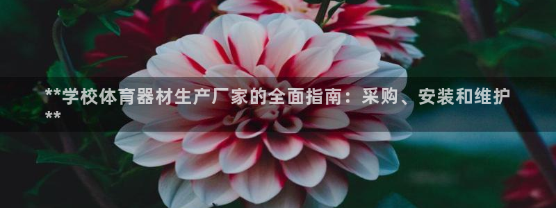 星欧娱乐属于什么档次的软件：**学校体育器材生产厂家