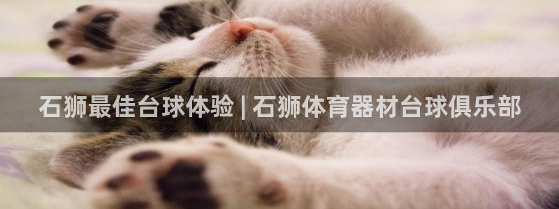 星欧娱乐官方客服联系方式：石狮最佳台球体验 | 石狮