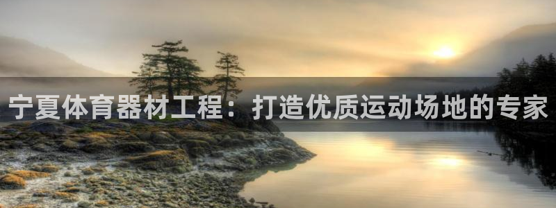 星欧娱乐公司创始人背景故事是什么：宁夏体育器材工程：