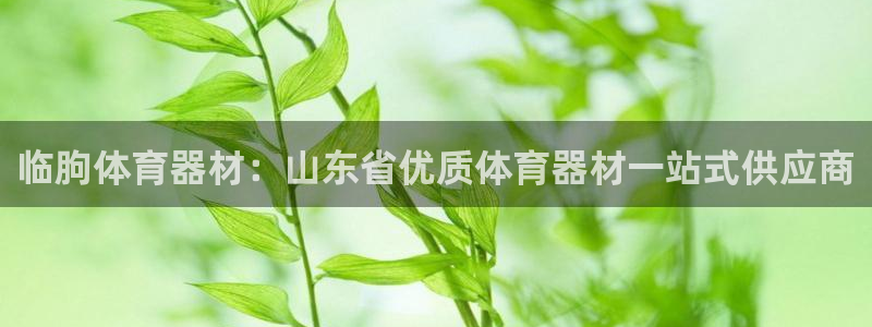 星欧娱乐扣款流程详解图片：临朐体育器材：山东省优质体