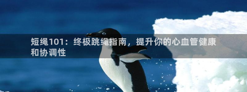 星欧娱乐扣款流程详解视频：短绳101：终极跳绳指南，