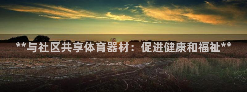 星欧娱乐用户名和密码：**与社区共享体育器材：促进健