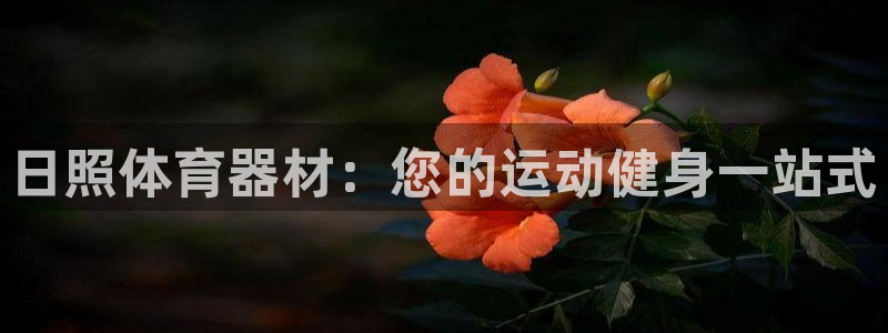 星欧娱乐属于什么档次的公司啊：日照体育器材：您的运动