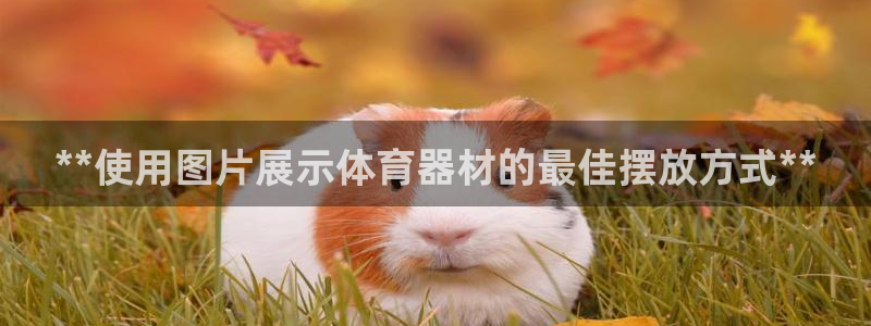 星欧娱乐被扣款7IIII怎么关闭：**使用图片展示体